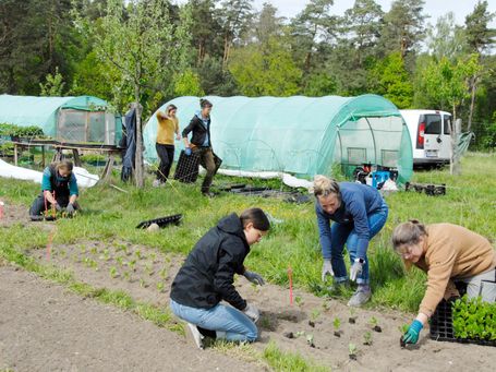 Teambuilding beim gemeinsamen Blumenpflanzen, Teamtag von Demeter im Osten