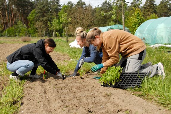 Teambuilding beim Pflanzen, Teamtag von Demeter im Osten