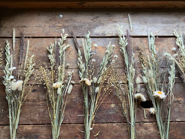 dried flowers